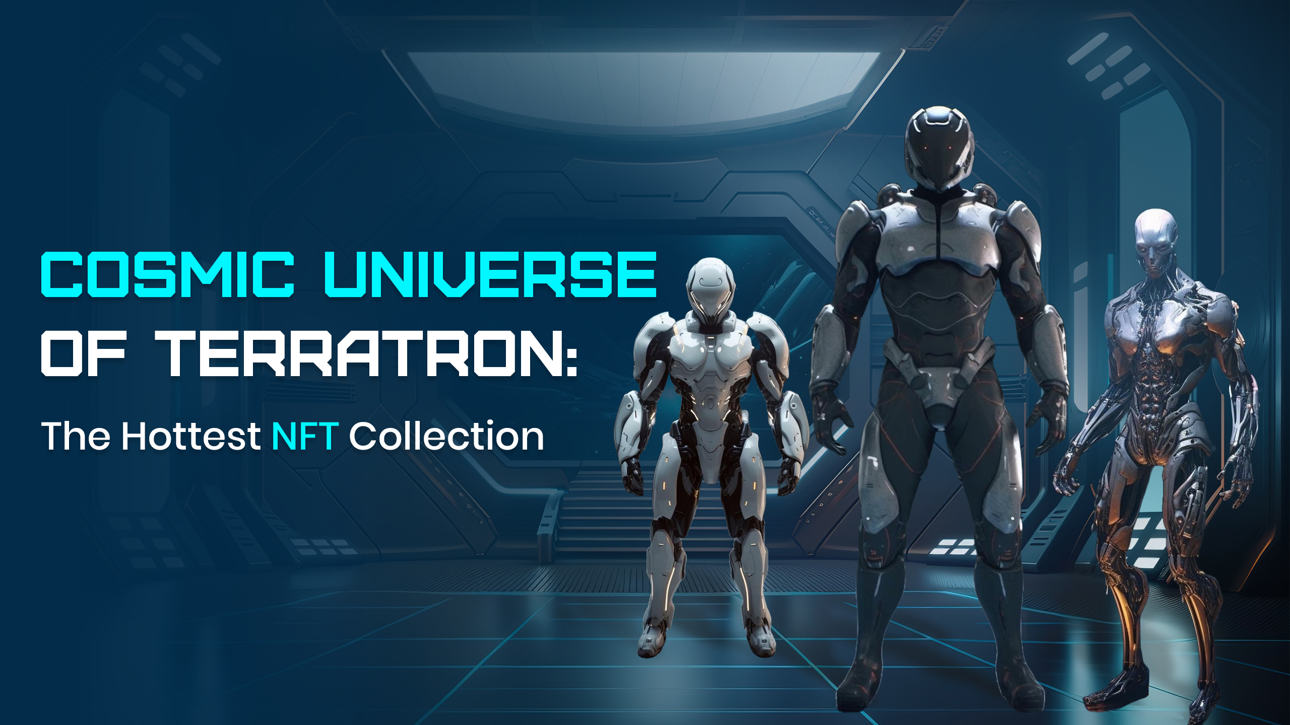 Top NFT Collections by Terratron